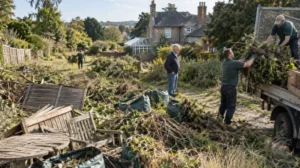 Large overgrown garden clearance work
